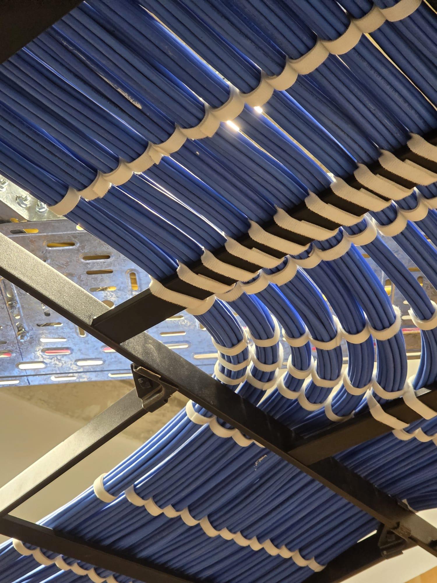 Overhead cable trays. Hundreds of Cat6 runs dressed and velcro-tied along the ladder rack.